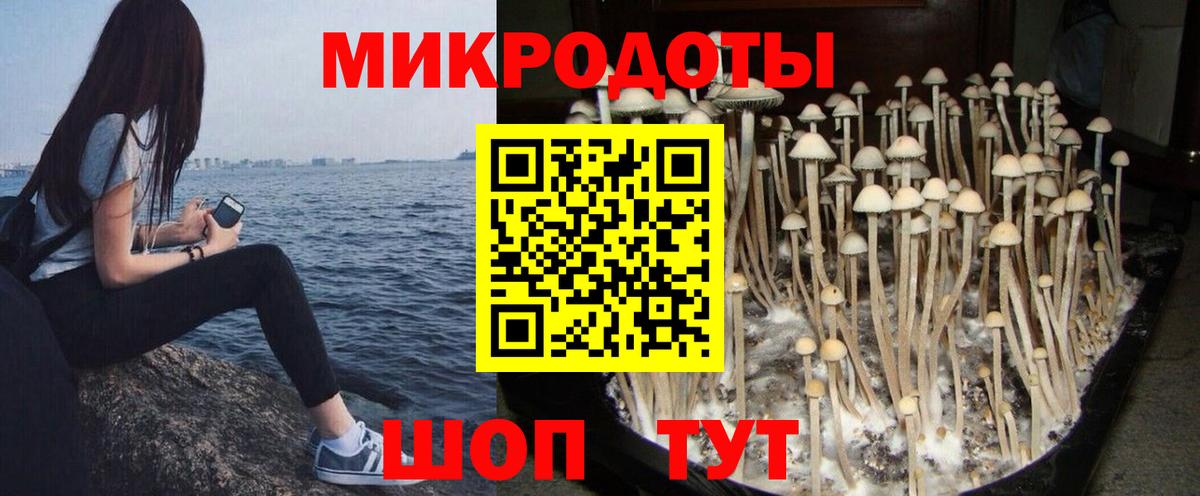 Псилоцибиновые грибы Cubensis  Вход с VPN  Котлас  Галлюциногенные грибы GOLDEN TEACHER 
