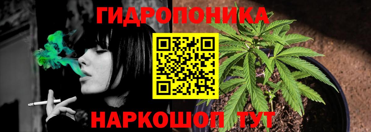 Марихуана гибрид Котлас